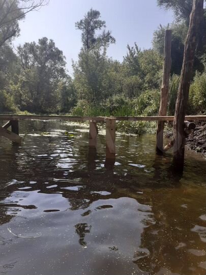 Участок 10 сот. (ИЖС)