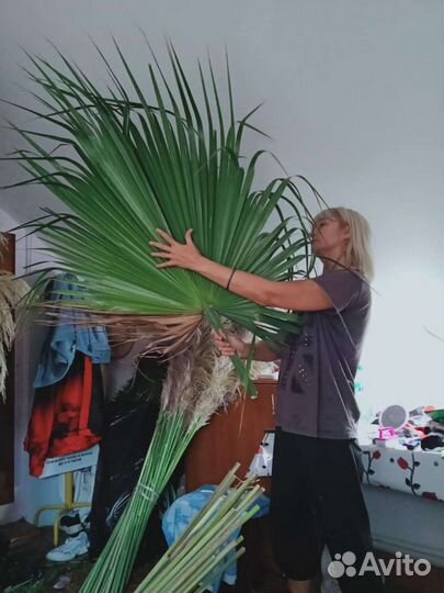 Пампасы,сухоцвет,венки,шишки 2023