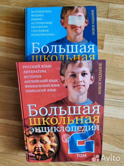 Большая школьная энциклопедия в 2 томах
