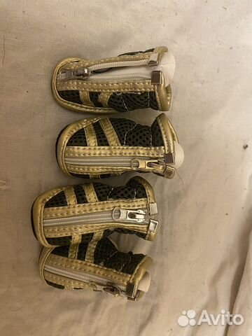 Кроссовки для собак