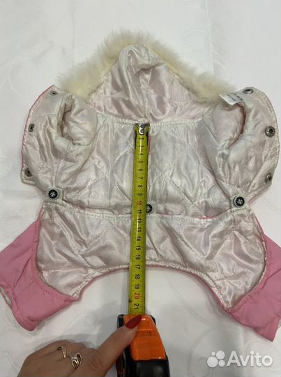 Одежда для собак