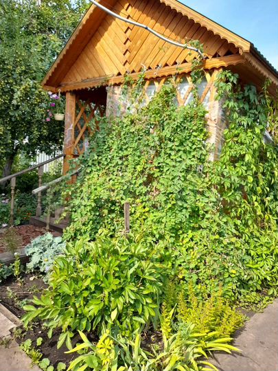 Дача 45 м² на участке 8 сот.