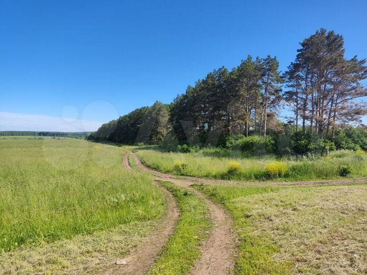 Участок 18 га (СНТ, ДНП)