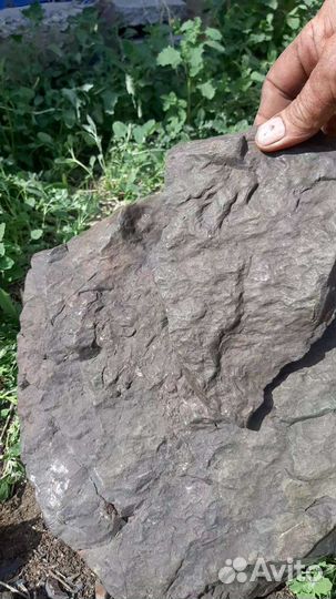 Метеорит железо каменный цена за один грамм