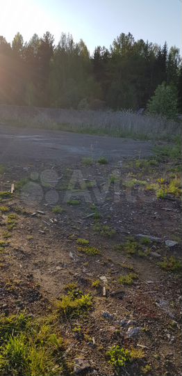 Участок 14 сот. (ИЖС)