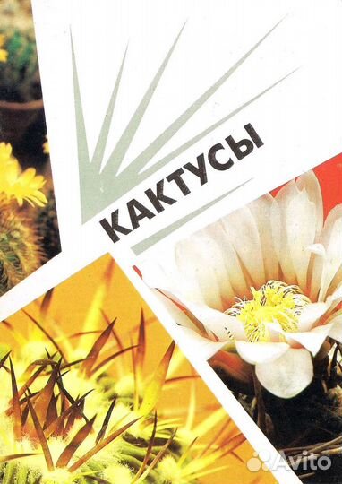 Открытки 1970-1999 Лотом или набор