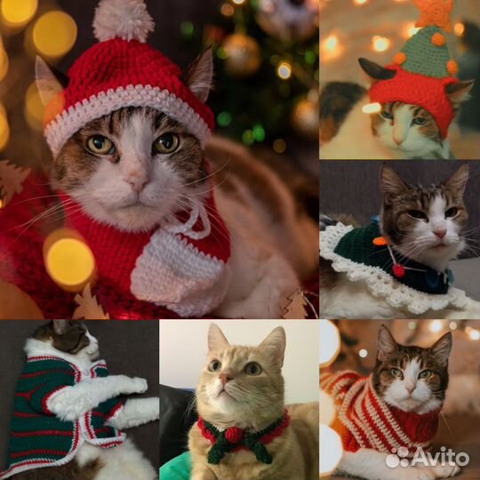 Вязаные шапочки для котиков