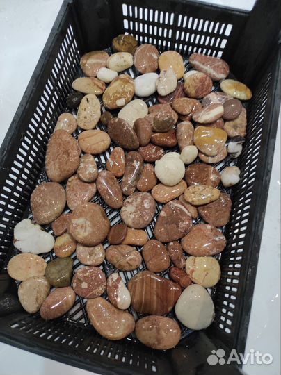 Камни с моря