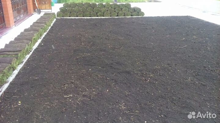 Рулонные газоны