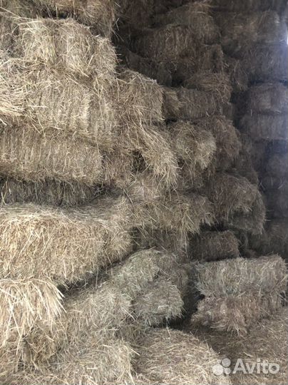 Сено луговое в тюках