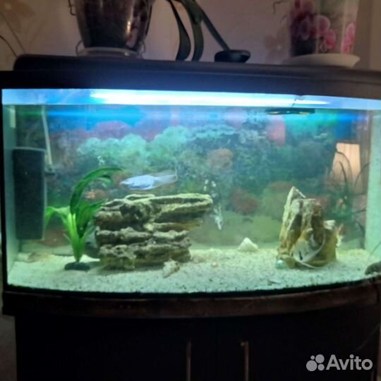 Аквариум с тумбой