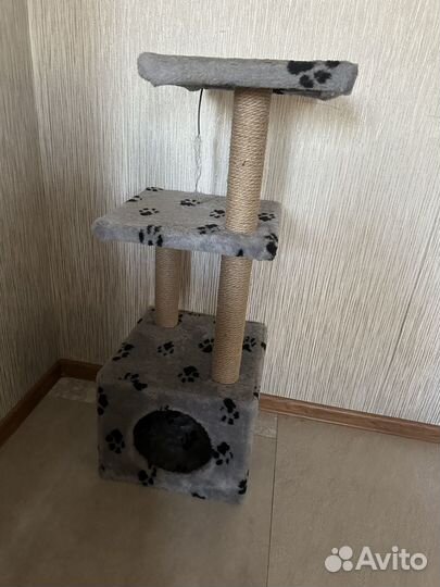 Когтеточка