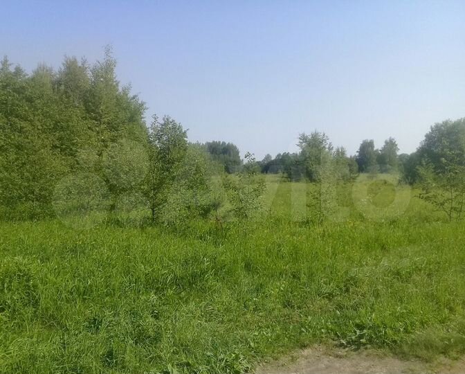 Участок 21 га (СНТ, ДНП)