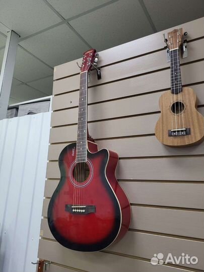 Гитара Элетаро и Амистар