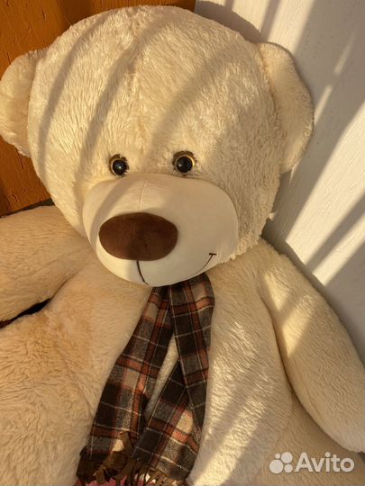 Плюшевый медведь