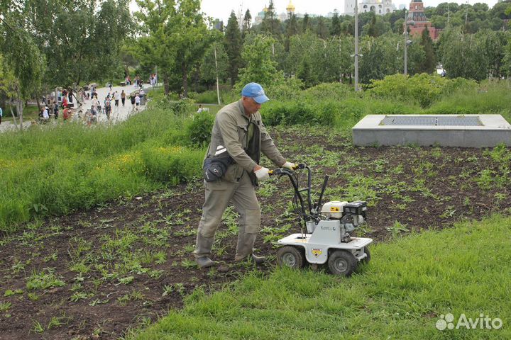 Рулонный газон с бесплатным замером