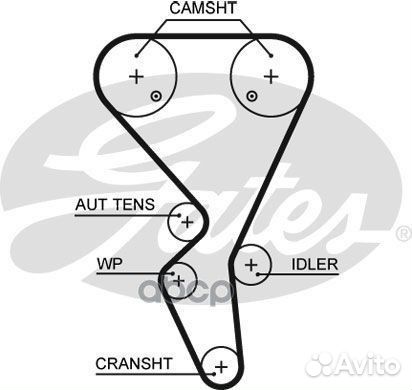 Ремень грм citroen / peugeot 1.6 96- (134x26) 5