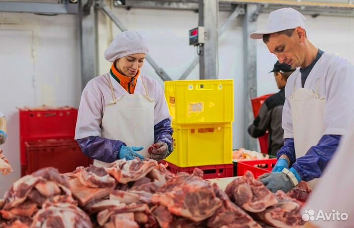 Рабочие на Вахту на производство