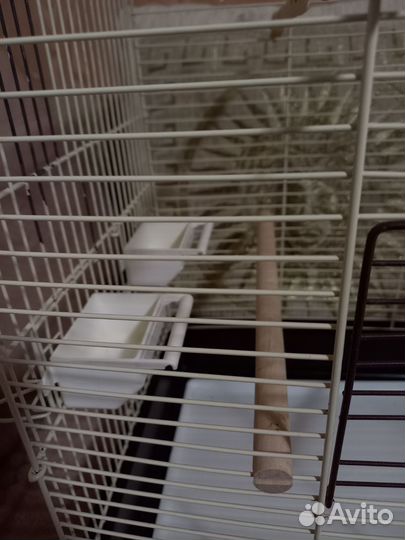 Клетка для попугаев