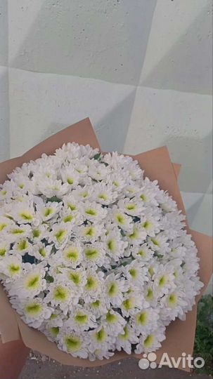 Хризантема кустовая Букет, корзина, декор Доставка