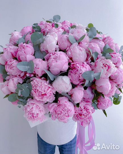 Голландские Пионы в наличии