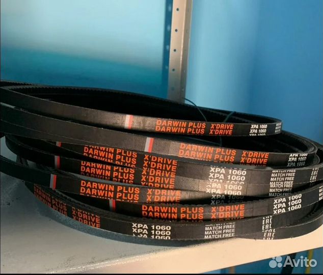 Ремни приводные darwin plus