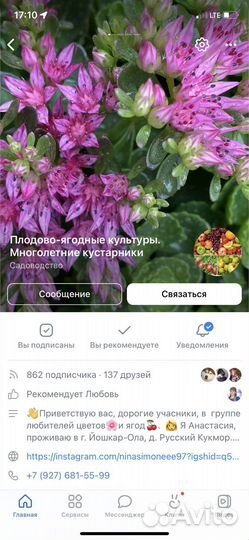 Саженцы. Многолетние, плодово-ягодные культуры