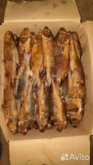 Рыба горячего копчения