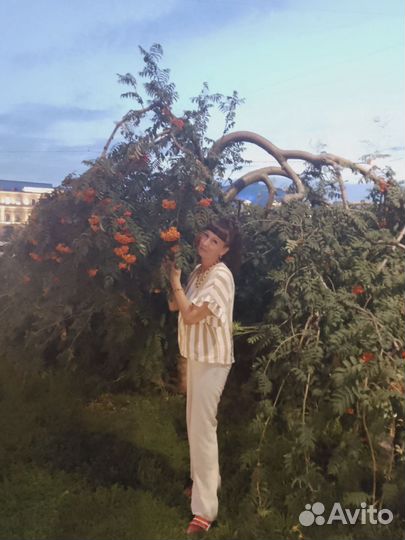 Бухгалтер, Бухгалтер в единственном лице