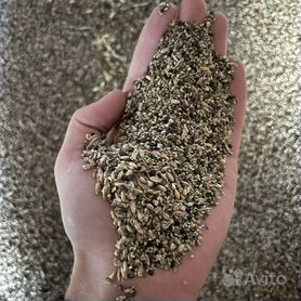 Пшеничные отходы