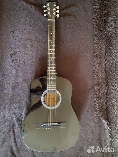 Акустическая гитара Terris