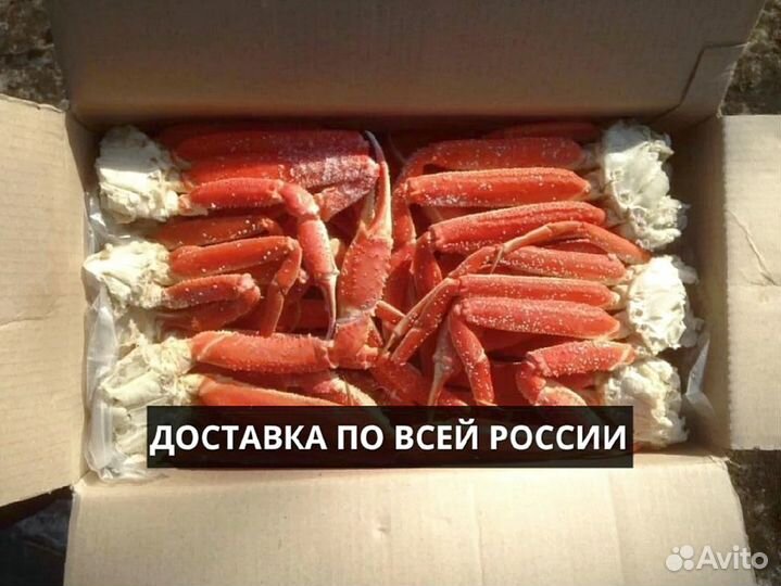 Конечности краба стригуна