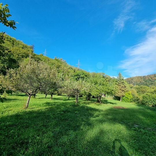 Участок 33,5 сот. (СНТ, ДНП)