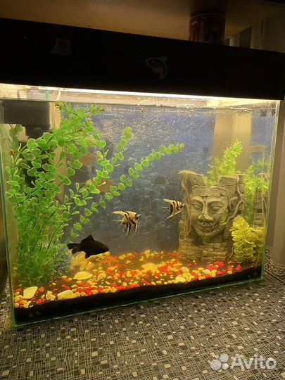 Аквариум