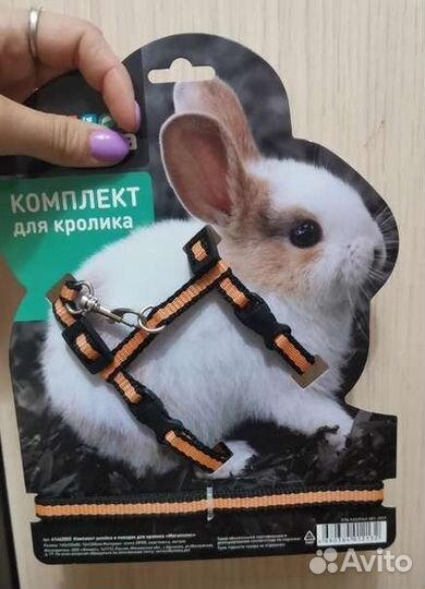 Новые шлейки для животных