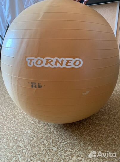 Гимнастический мяч Torneo