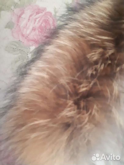 Пальто Savage, 46р