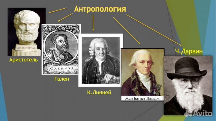 Школьные проекты (1-11класс) на заказ