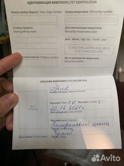 Отдам в хорошие руки