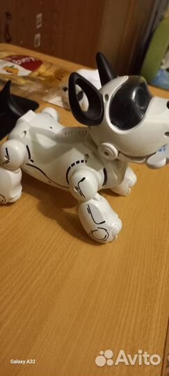 Собака-робот