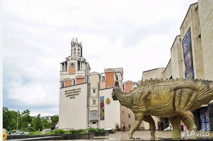 Билеты в Государственный Дарвиновский музей Москва