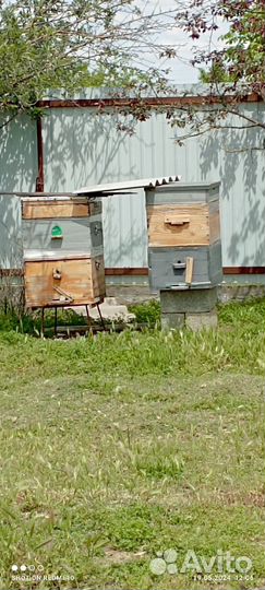 Улей для пчел бу