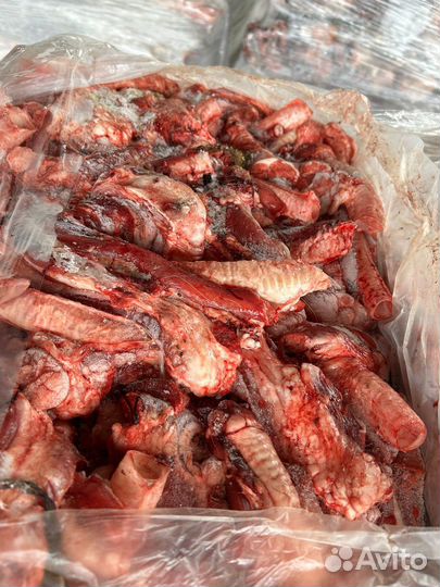 Трахея мясная бар