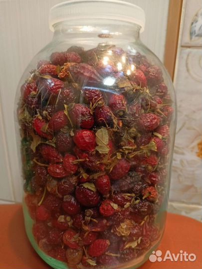 Шиповник сушеный