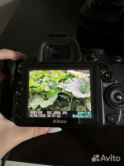 Зеркальный фотоаппарат nikon d3100