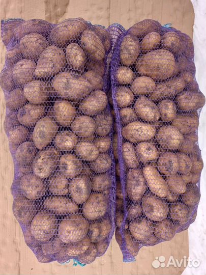 Картофель на еду