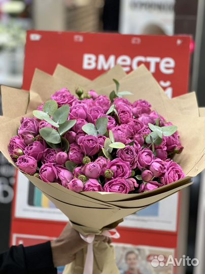 Китайская роза пионавидное