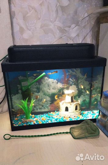 Аквариум