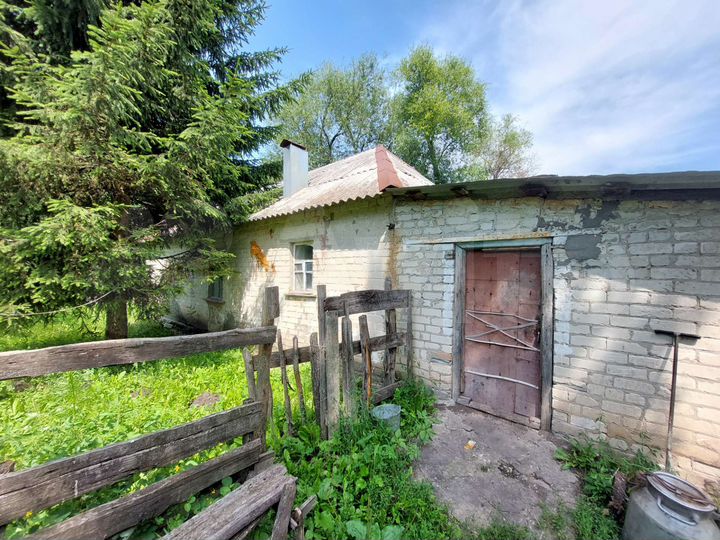 Дом 53 м² на участке 50 сот.