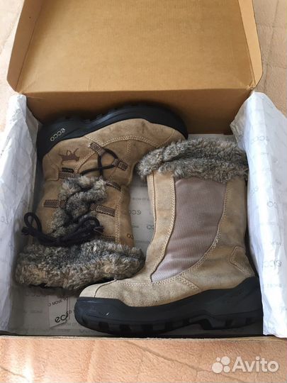 Зимние сапоги ecco
